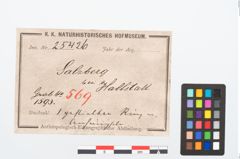 Etikett zu Bronzegehänge (NHMW-PRAE-025426)